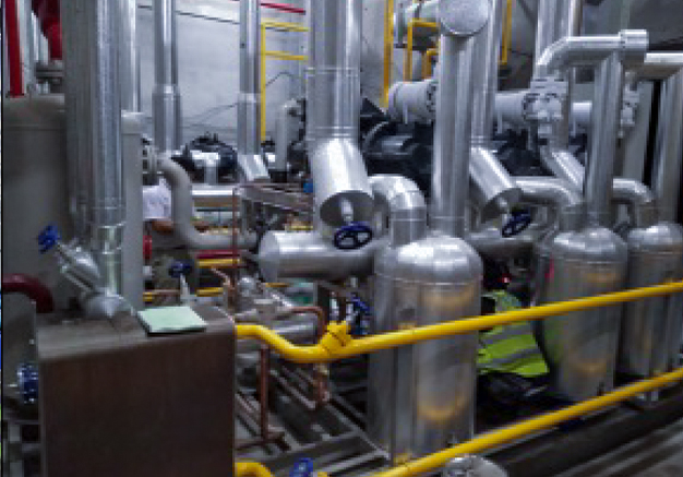 detail of Heyun Blueberry Processing