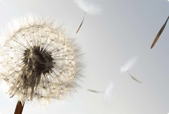 1678718636218902.png culture-img.png